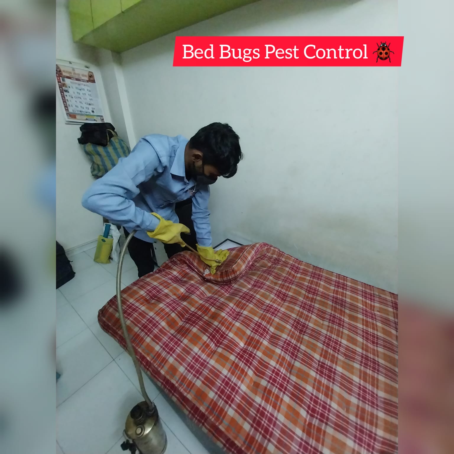 Professional Bed Bug Treatment